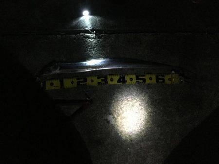 タチウオ終盤戦か？