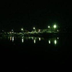 ガシラ狙いのはずが・・・