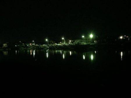 ガシラ狙いのはずが・・・