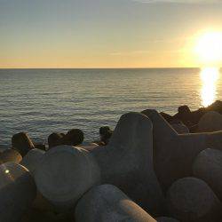 ロックフィッシュ