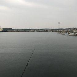 メタルジクで根魚狙い