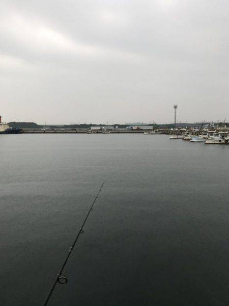 メタルジクで根魚狙い