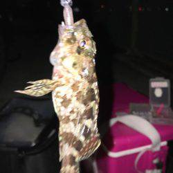 釣れてからも勝負です