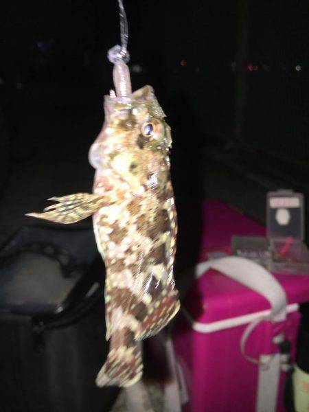 釣れてからも勝負です