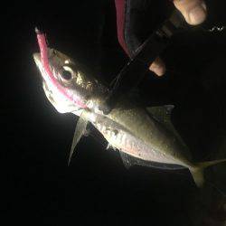 五目釣り達成❗️