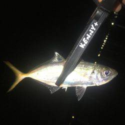 着いたと同時にまさかの…