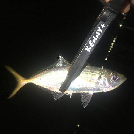 着いたと同時にまさかの…