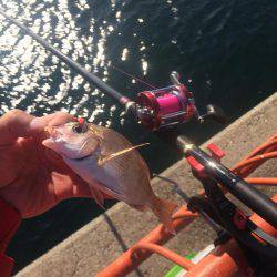 今日は投げ練（おみや付き）