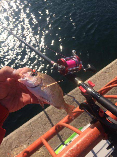 今日は投げ練（おみや付き）