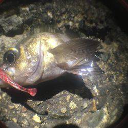 何狙いでもない。