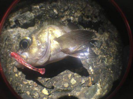 何狙いでもない。