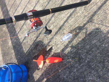 投げ練5日目 赤いけど君じゃない