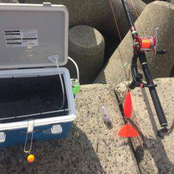 狙え!お正月用の真鯛 at 垂水一文字(兼 投げ練7日目)