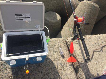 狙え!お正月用の真鯛 at 垂水一文字(兼 投げ練7日目)