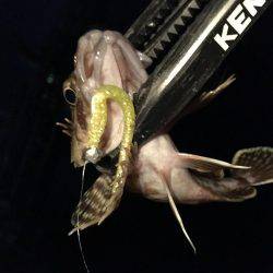 これぞライトゲーム。