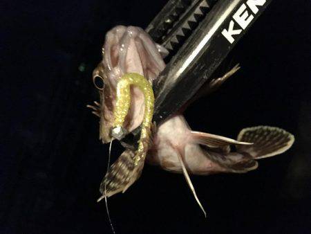 これぞライトゲーム。