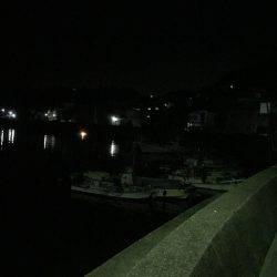 ライトライトライト