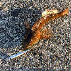 スーパーライトショアジギング