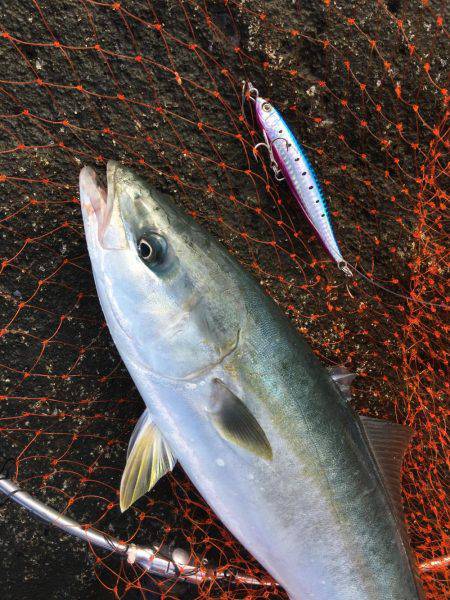 ロックショアジギング