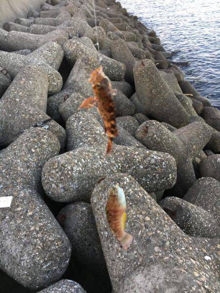 やっぱり楽しい(o^^o)