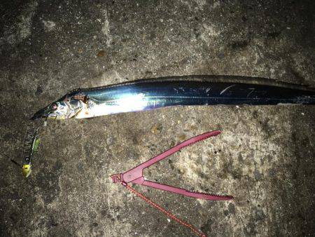 寒い:(´◦ω◦｀):