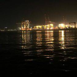 ドラゴンかな❓