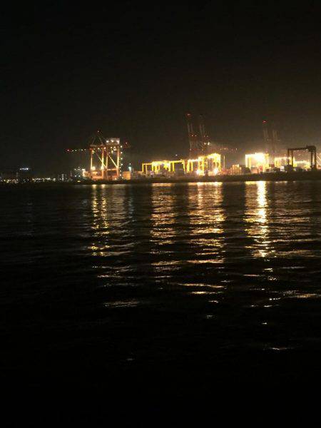 ドラゴンかな❓