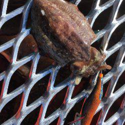 今年の最後の一杯は？