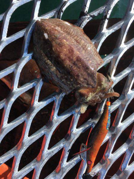 今年の最後の一杯は？