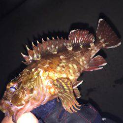 ライトライトリト