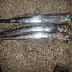 お気に入りのレッドヘッドちゃんが！