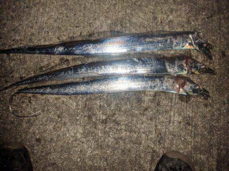 お気に入りのレッドヘッドちゃんが！