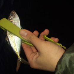 全然だめです。