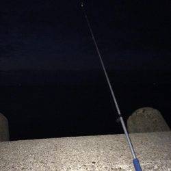 播磨新島で投げ釣り