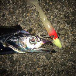 なんとか坊主は逃れたものの