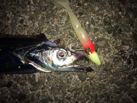 なんとか坊主は逃れたものの