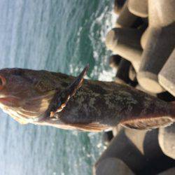 マイクロジギングでポン!