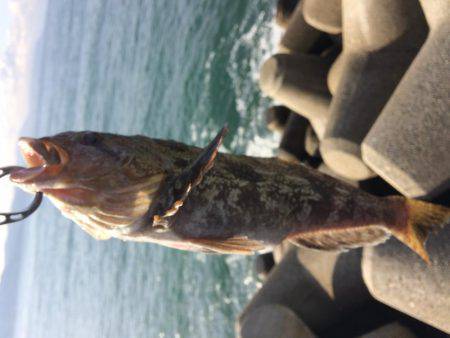 マイクロジギングでポン!