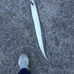 また行ってしまった。。