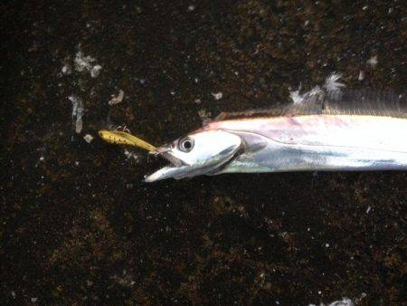 タチいちサゴいち