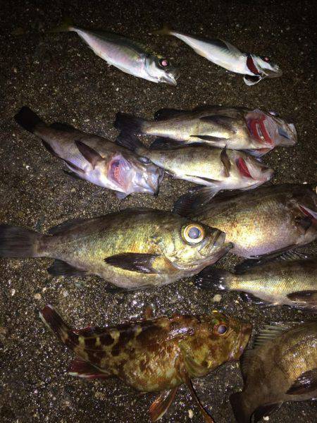 サーフメバリング