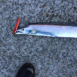 ドラゴン警報発令