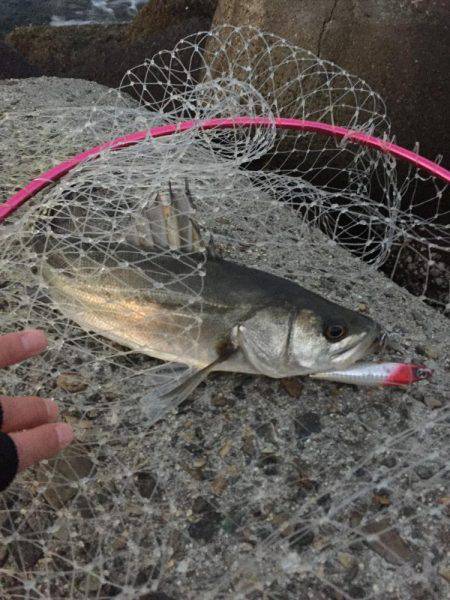 こいつで初めて？！