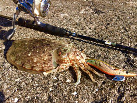 ホゲリンピック(笑)