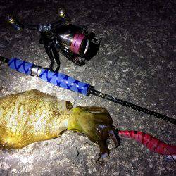 短時間エギング