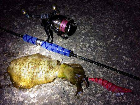 短時間エギング