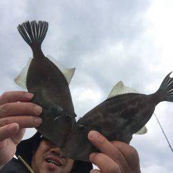 内浦湾でマイボートでハゲ釣り