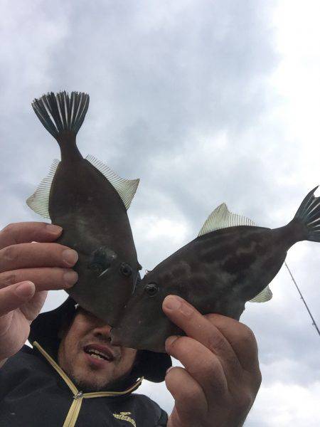 内浦湾でマイボートでハゲ釣り