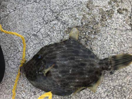 あったかかった〜♪