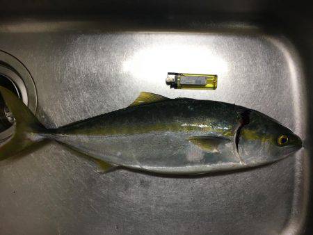 そろそろ終わり